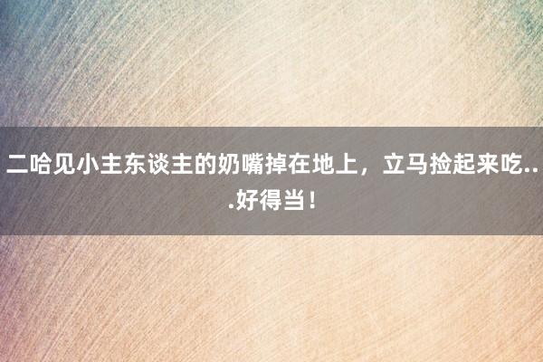 二哈见小主东谈主的奶嘴掉在地上，立马捡起来吃...好得当！