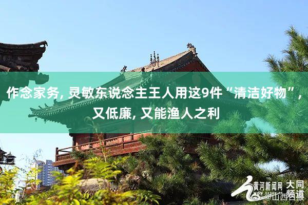 作念家务, 灵敏东说念主王人用这9件“清洁好物”, 又低廉, 又能渔人之利