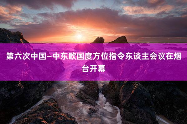 第六次中国—中东欧国度方位指令东谈主会议在烟台开幕