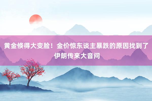黄金倏得大变脸！金价惊东谈主暴跌的原因找到了 伊朗传来大音问