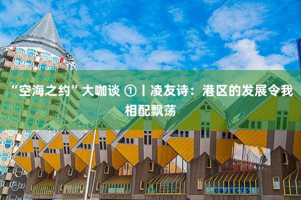 “空海之约”大咖谈 ①丨凌友诗:港区的发展令我相配飘荡