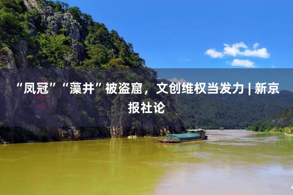 “凤冠”“藻井”被盗窟,文创维权当发力 | 新京报社论