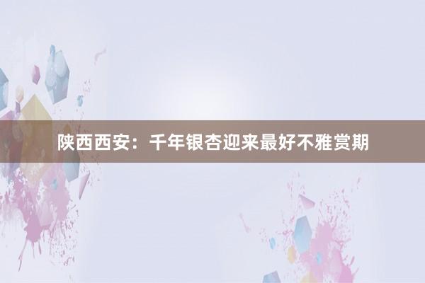 陕西西安：千年银杏迎来最好不雅赏期