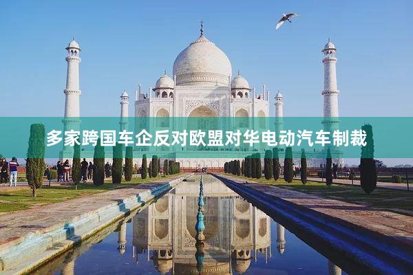 多家跨国车企反对欧盟对华电动汽车制裁