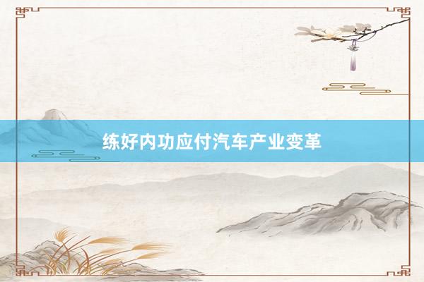 练好内功应付汽车产业变革