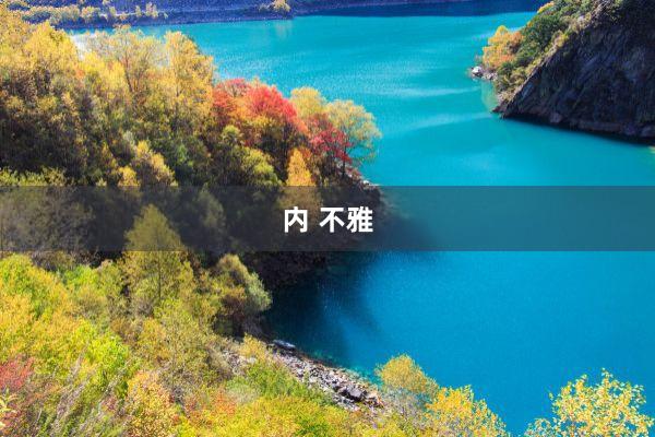 内 不雅