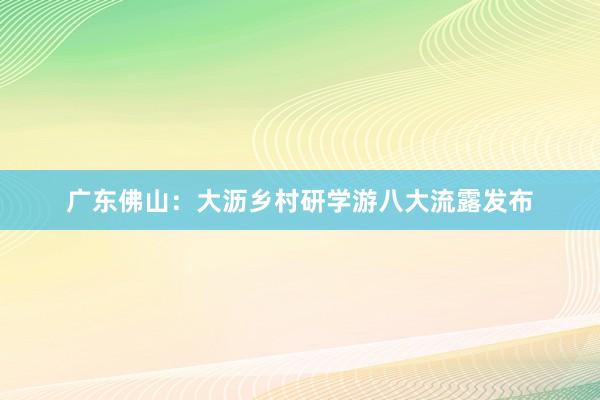 广东佛山：大沥乡村研学游八大流露发布