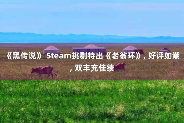 《黑传说》 Steam挑剔特出《老翁环》, 好评如潮, 双丰充佳绩