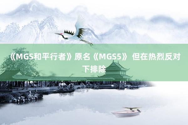 《MGS和平行者》原名《MGS5》 但在热烈反对下排除