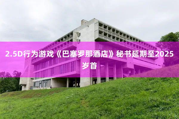 2.5D行为游戏《巴塞罗那酒店》秘书延期至2025岁首
