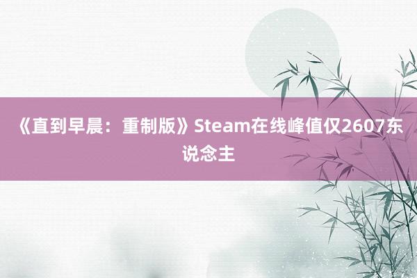 《直到早晨：重制版》Steam在线峰值仅2607东说念主