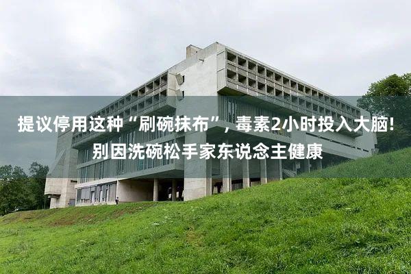 提议停用这种“刷碗抹布”, 毒素2小时投入大脑! 别因洗碗松手家东说念主健康