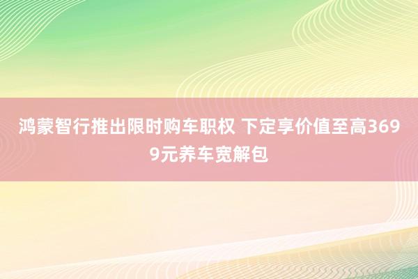 鸿蒙智行推出限时购车职权 下定享价值至高3699元养车宽解包